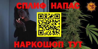 гидра Можайск