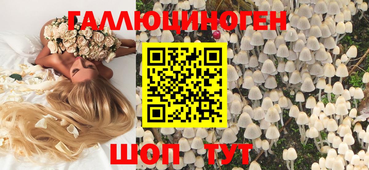 Галлюциногенные грибы мицелий Строитель