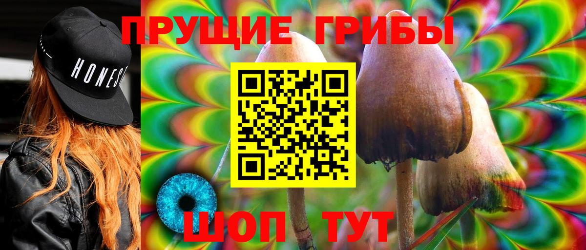 Псилоцибиновые грибы прущие грибы  Псилоцибиновые грибы Magic Shrooms  Вход с VPN  Строитель 